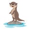 Cartoon Drawing Of An Otter