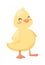 Cartoon duck toy animal yellow character flat vector.