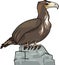 Cartoon eagle wild bird