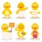 Cartoon Easter Cute Chick Set