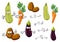 Cartoon eggplant, carrots, potatoes and zucchini
