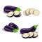 Cartoon eggplants set. Group and sliced eggplants. Aubergine vegetables. Vector illustrations collection isolated on white