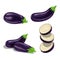 Cartoon eggplants set. Single, group and sliced eggplants. Aubergine vegetables. Vector illustrations collection isolated on white