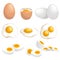 Cartoon eggs set. Whole, fresh, boiled, fried, double eyed eggs. Single and group. Sliced and whole. Vector illstrations