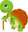 Cartoon elderly tortoise