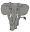 Cartoon elephant