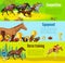 Cartoon Equestrian Horizontal Banners