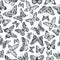 Cartoon exotic butterfly insects silhouettes seamless pattern. Elegant butterflies monochrome print, flying insects vector