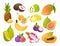 Cartoon exotic fruits. Juicy carambola and maracuya. Sweet passionfruit, mangosteen or jackfruit. Natural cherimoya, fig