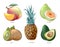 Cartoon exotic tropic fruits vector icons set