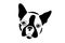 A cartoon face of a Boston Terrier dog. Vector Illustration.