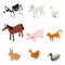 Cartoon Farm Animal Color Set. Vector