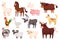 Cartoon farm animals and birds, cute domestic animal characters. Sheep, goat, pig, rabbit, dog, horse, turkey, livestock