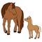 Cartoon farm animals. Mother horse with foal.