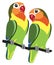 Cartoon Fischer lovebirds