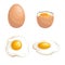 Cartoon flat design eggs set. Whole, boiled egg and fried eggs. Fresh farm products. Breakfast symbol.