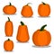Cartoon flat style colorful pumpkin icons set