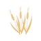 Cartoon flat vector icon of three dry wheat spikelets. Cereal plant. Organic agricultural crop. Farming theme. Graphic