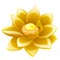 Cartoon flower yellow Lotus isolated on white background. Vector illustration.