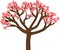 Cartoon flowering peach tree with pink flowers