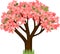 Cartoon flowering sakura tree with pink flowers isolated on white