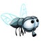 Cartoon fly with big eyes isolated on a white background. Vector cartoon close-up illustration.