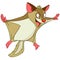 Cartoon flying squirrel funny animal