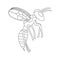 Cartoon flying wasp outline. white background isolated vector illustration