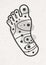 Cartoon foot with reflexology points