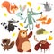 Cartoon forest animal characters. Wild cartoon animals collections vector. Squirrel, mouse, badger, wolf, fox, beaver, bear