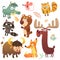 Cartoon forest animal characters. Wild cartoon cute animals collections vector. Big set of cartoon forest animals flat vector