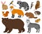 Cartoon forest animals, owl, bear, fox, raccoon and squirrel. Woodland wild animals and birds isolated vector