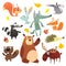 Cartoon forest animals set