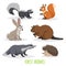 Cartoon forest animals set. Skunk, hedgehog, hare, squirrel, badger and beaver. Funny comic creature collection.