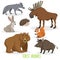 Cartoon forest animals set. Wolf, hedgehog, moose, hare, squirrel, bear and wild boar. Funny comic creature collection.