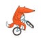 Cartoon fox on bike