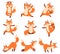Cartoon fox in yoga poses. Healthy gymnastics, breathing exercises and sport animal mascot vector illustration set