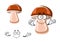 Cartoon fresh brown mushroom character