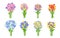 Cartoon fresh flowers bouquets spring vector set