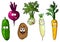 Cartoon fresh funny vegetables
