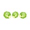 Cartoon fresh organic green brussels sprouts icon.