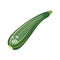 Cartoon fresh organic green zucchini icon.