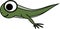 Cartoon frog tadpole with legs