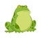 Cartoon frogs Funny cartoon frog. Little amphibia character sitting on white background. Adorable froggy watching