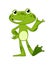 Cartoon frogs Funny cartoon frog. Little amphibia character standing and smiling on white background. Adorable froggy