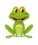 Cartoon frogs Funny cartoon frog. Little amphibia character standing and smiling on white background. Adorable froggy