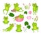 Cartoon frogs. Green frog on pond hold tadpole, cute water toad rest in flower. Wild lily or lotus leaves, isolated