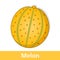 Cartoon Fruit - Big Yellow Melon