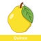 Cartoon Fruit - Big Yellow Quince