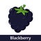 Cartoon Fruit - Purple Blackberry